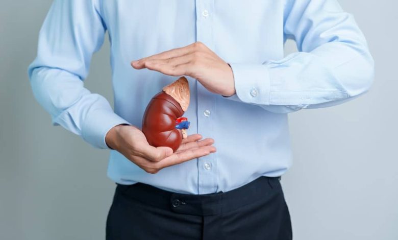 آیا زندگی با یک کلیه ممکن است؟